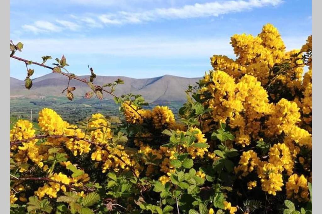 Corderry Farmhouse, Idyllic Cottage Amid 250 Acres Lisvernane Exterior foto